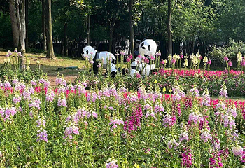 重庆动物园第 70 张图片