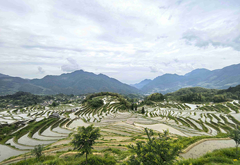 云和梯田景区第 60 张图片
