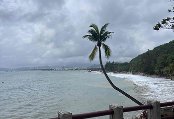 天涯海角第 331 张图片