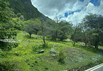 四姑娘山双桥沟景区第 180 张图片