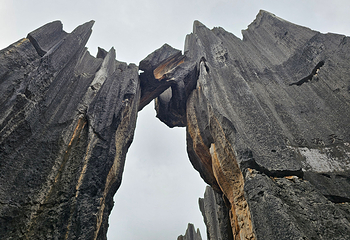 石林风景区第 125 张图片