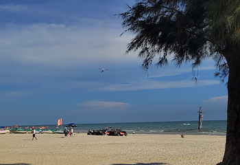 北海银滩景区第 89 张图片