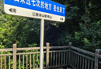 敬亭山第 62 张图片