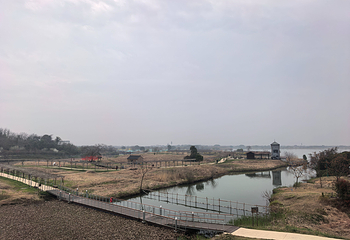 下渚湖·湿地公园第 75 张图片