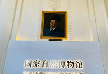 国家自然博物馆第 96 张图片