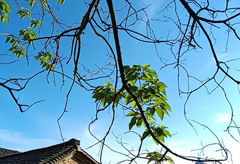 陶阳里旅游区第 214 张图片
