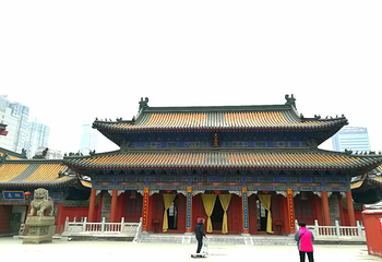 大兴善寺第 42 张图片