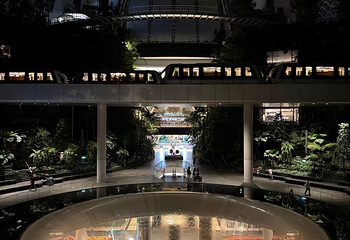 星耀樟宜第 244 张图片