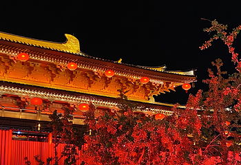 大唐不夜城第 146 张图片