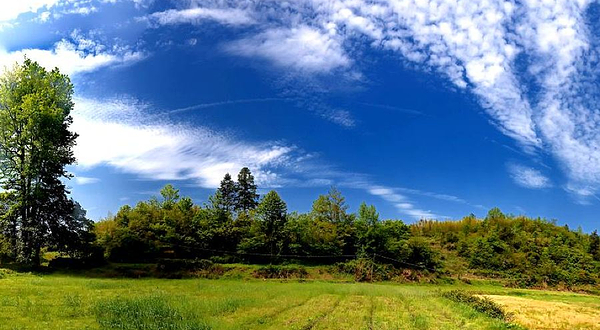 梧桐山风景名胜区-生态保护区