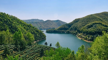 青龙湾景区-观湖岛