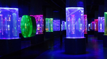 北海·海洋之窗-梦幻海洋