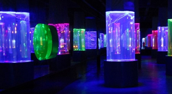 北海·海洋之窗-梦幻海洋