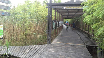 底栖动物科普画廊