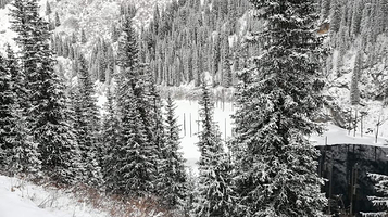 Ecotourism Information Resource Centre