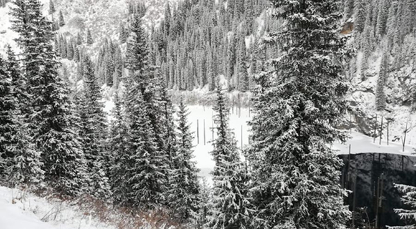 Ecotourism Information Resource Centre