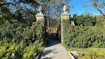 敦巴顿橡树公园