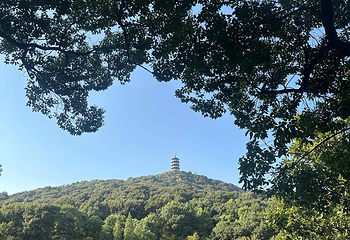 古隆中第 160 张图片