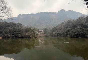 青城山第 256 张图片