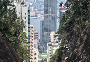 太平山顶第 134 张图片