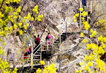 九如山休闲旅游度假区第 198 张图片