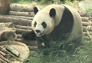 大连森林动物园第 108 张图片