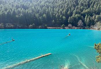 九寨沟风景区第 345 张图片