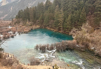 九寨沟风景区第 596 张图片