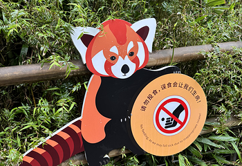 熊猫谷第 87 张图片
