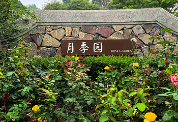 玄武湖景区第 40 张图片