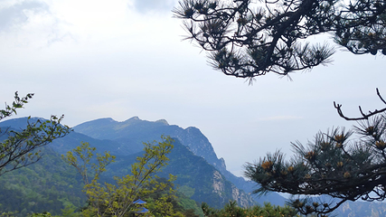 庐山风景名胜区第 118 张图片