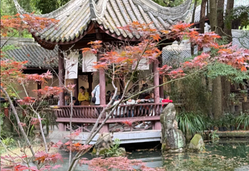 杜甫草堂第 414 张图片