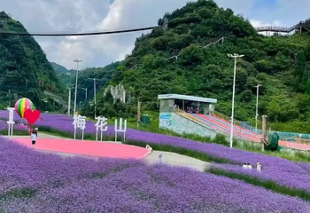 梅花山旅游景区第 52 张图片