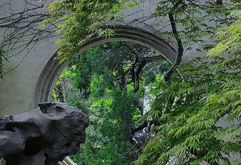拙政园第 366 张图片