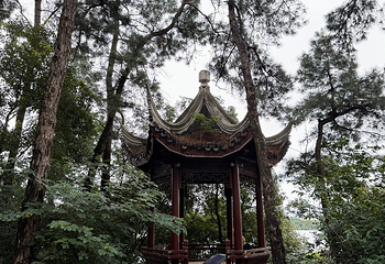 南湖第 75 张图片