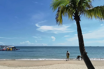 天涯海角第 209 张图片