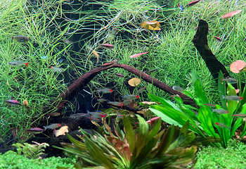 上海海洋水族馆第 110 张图片