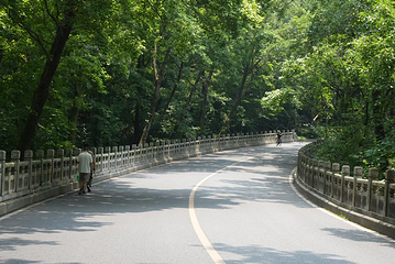 钟山风景名胜区第 55 张图片
