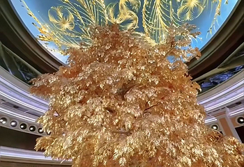 永利澳门吉祥树第 40 张图片