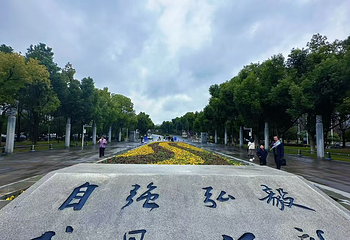 武汉大学第 45 张图片