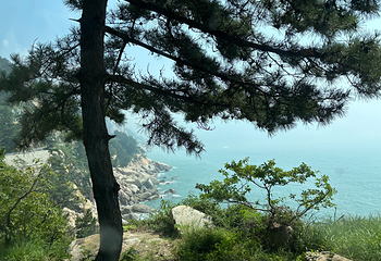 崂山风景区第 167 张图片