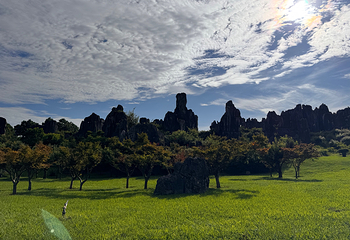 石林风景区第 135 张图片