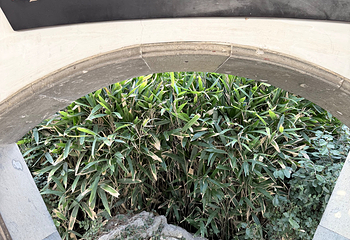拙政园第 417 张图片