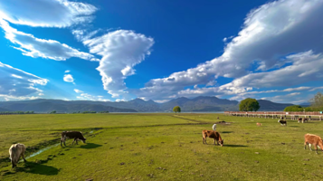 丽江拉市海高原湿地省级自然保护区管护局