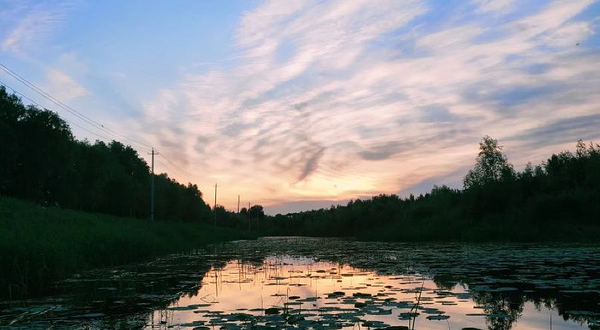 大安市嫩江湾国家湿地公园外滩