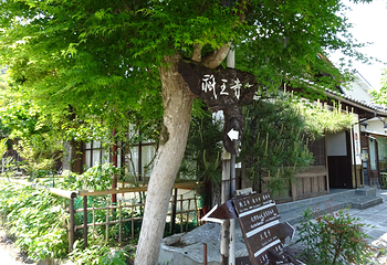 岚山第 94 张图片