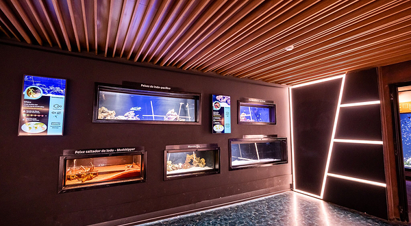 AquaRio里约水族馆