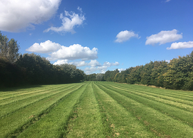 Manor Farm Woodland Walks/Cakes And Bakes(Railway Carriage Tea Room)