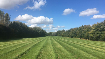 Manor Farm Woodland Walks/Cakes And Bakes(Railway Carriage Tea Room)