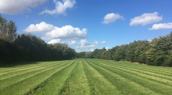 Manor Farm Woodland Walks/Cakes And Bakes(Railway Carriage Tea Room)